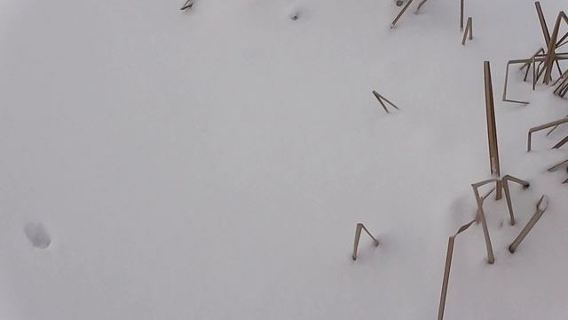 По лисьему следу зимой смотреть онлайн