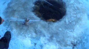 ПОЛНАЯ СЕТЬ КАРАСЯ! Зимняя рыбалка сетями 2021. Подлёдный лов сетями.