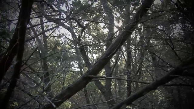 Sony HDR-FX7, Footage from Canyon Lake, Texas смотреть онлайн