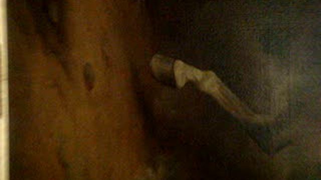 Александр 1. Alexander 1.