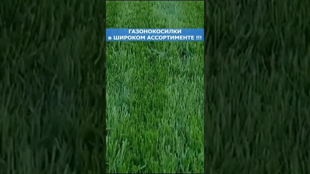 Газонокосилки от компании ТЕХНОМАШ смотреть онлайн