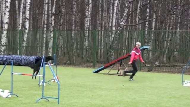 Первенство СПб по аджилити, 20.04.13 г. Пискаревская v09 смотреть онлайн