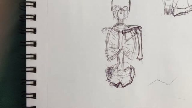 some tips for drawing the skeleton (front view) смотреть онлайн