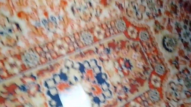 бебрик обкакался ночью смотреть онлайн