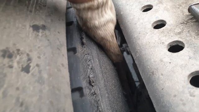 Не рейс, а сплошная поломка. Открыл категорию Е. смотреть онлайн