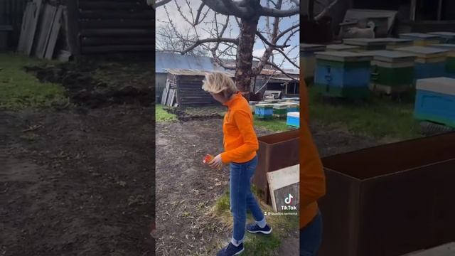 Какое должно быть расстояние между двумя разнополыми черешнями? В саду у нашего эксперта смотреть онлайн