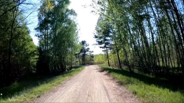 Поездка на велосипедах в Шпревальд. Город Люббен. Велопрогулка. Spreewald Gurkenradweg Lübben