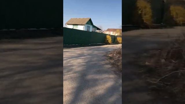 Как забрасывают мусором отдыхающие Киев Русановские Сады