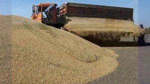 §13 "Сельское хозяйство. Растениеводство", География 9 класс, Полярная звезда