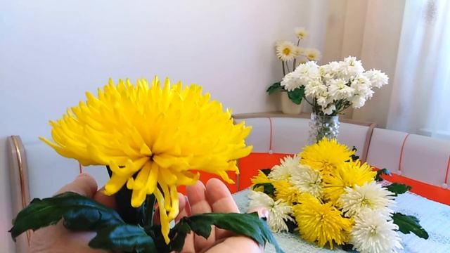 Дорогих женщин поздравляю!!! смотреть онлайн