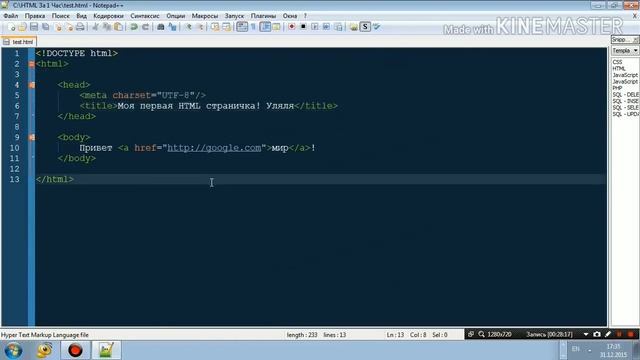 Как выучить html за 1 час от профессионала / html / как создать свой сайт в html / функции в html смотреть онлайн