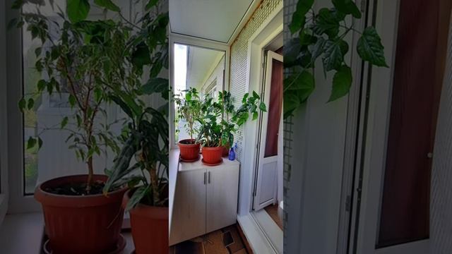 Двухкомнатная квартира в г. Карачев смотреть онлайн