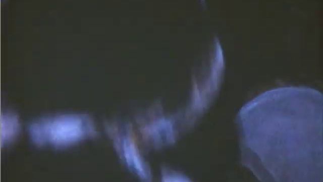 Knobe Family Home Movies (Super 8) #1 смотреть онлайн