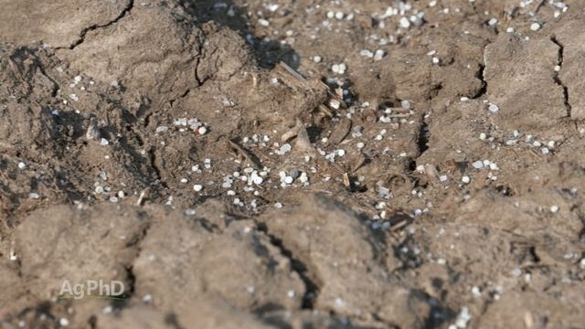 Farm Basics #1186 Liquid vs. Dry Fertilizer (Air Date 12-27-20) смотреть онлайн