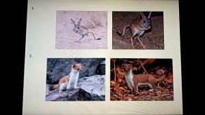 Природоведение 4 класс. Охрана природы в лесостепи.