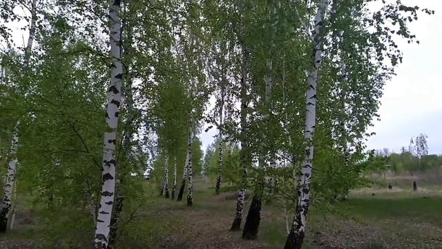 19 мая-ДЕНЬ СВЯТОГО ИОВА.Можно получить долголетие.Потрясающий день.Народные приметы смотреть онлайн