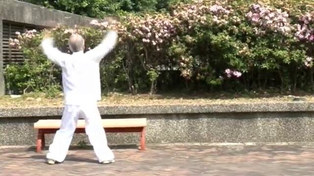 Five Elements Boxing with Adam Hsu смотреть онлайн