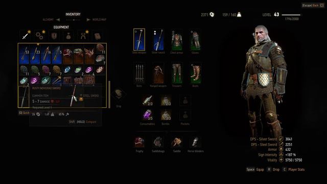Witcher 3 - New Game+ Part 17 - Arena fights смотреть онлайн