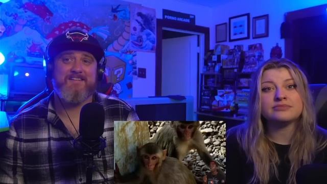 Animal Diseases that Belong in a Horror Movie @mndiaye_97 | HatGuy & @gnarlynikki React смотреть онлайн