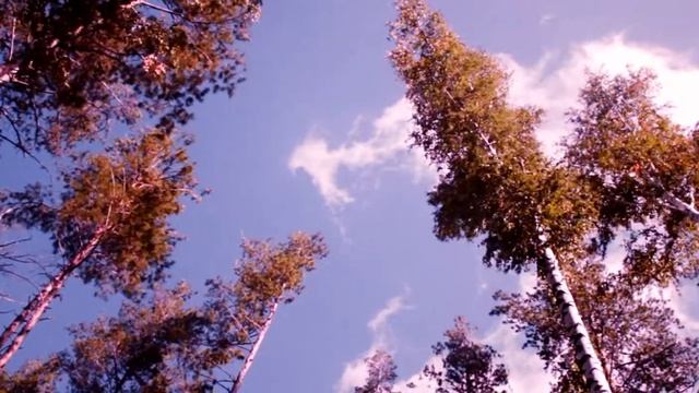 Природа, Ялта-Зай | Заинск, Татарстан, Россия смотреть онлайн