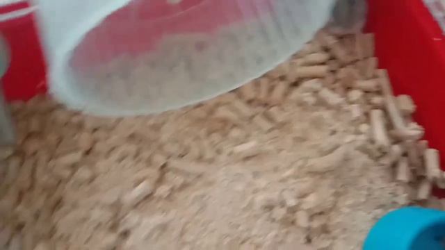 ДИСКОТЕКА ХОМЯКОВ(СОВЕТУЮ В НАУШНИКАХ) смотреть онлайн