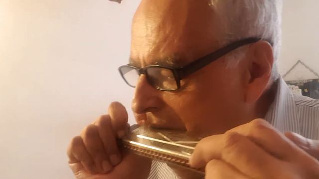 Ay Jalisco no te rajes, canción mexicana con órgano de boca. смотреть онлайн