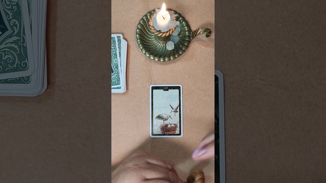 15 сентября. карта дня АИСТ. Прогноз ОБЩИЙ, у некоторых может не совпадатьКому откликнулось... смотреть онлайн