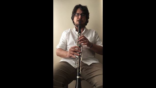 SOL KLARNET ALT BÖLÜM PES SES KROMATİK DİZİ ÇALIŞMASI EĞİTİM VİDEOSU 1 (ÖĞRENCİ PERFORMANSI) смотреть онлайн