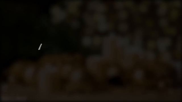 Christmas Music 2024, Christmas Carols, Heavenly Christmas Music, Relaxing Christmas Ambience