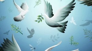 птицы мои птицы