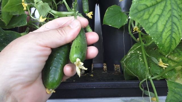 Строим с Умом