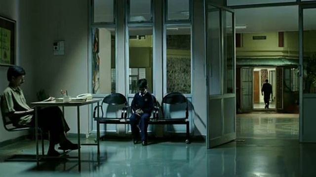 Звёздочки на Земле