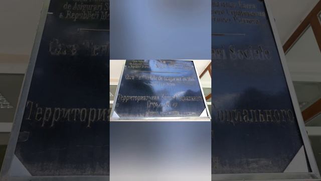 Ребята давайте жить дружно...! смотреть онлайн