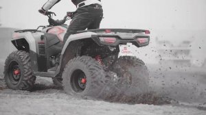 Квадроцикл XWolf 300 от завода Loncin в Молдове