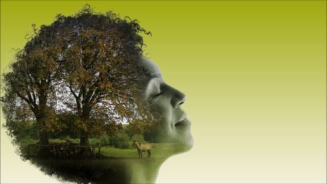 André Rieu & His Johann Strauss Orchestra Love Story смотреть онлайн