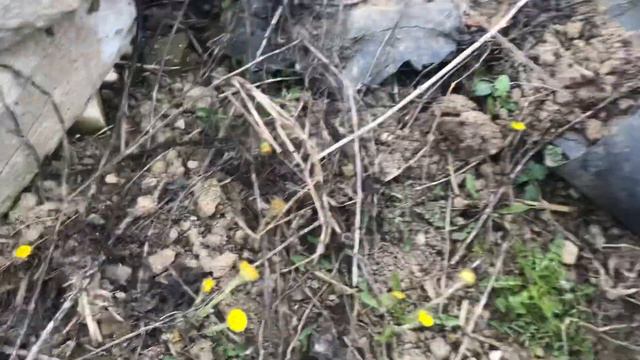 Мать и мачеха смотреть онлайн