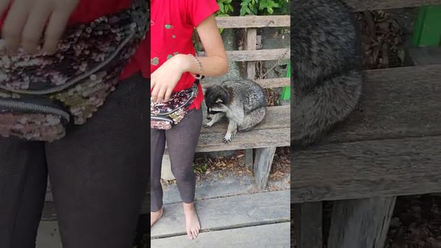 Поездка на Аше ч. 2:) смотреть онлайн