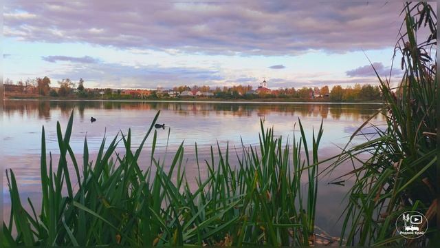 Село Ямкино. Кормление птиц и рыбок. смотреть онлайн