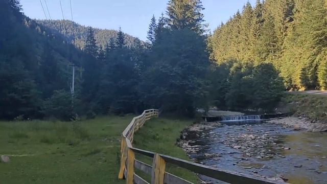 Синевирский заповедник смотреть онлайн