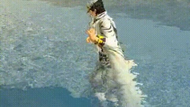Джотаро танцует в воде под польскую корову смотреть онлайн