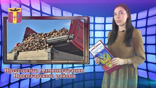 Пресс-центр Администрации Пролетарского района смотреть онлайн
