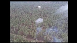 Реальная работа БМПТ Терминатор и танка Т 90 в лесополосе