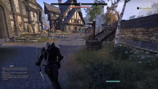 The Elder Scrolls Online - ЧТО ЭТО ЗА ДИЧЬ? - ГАЙД ДЛЯ НОВИЧКОВ! смотреть онлайн