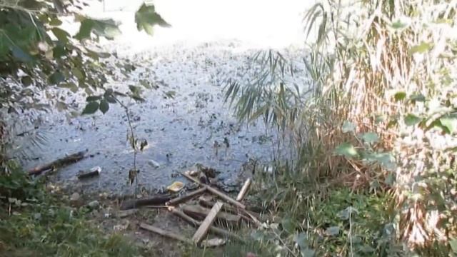 Озеро длинное в Горячем Ключе Краснодарского края. смотреть онлайн