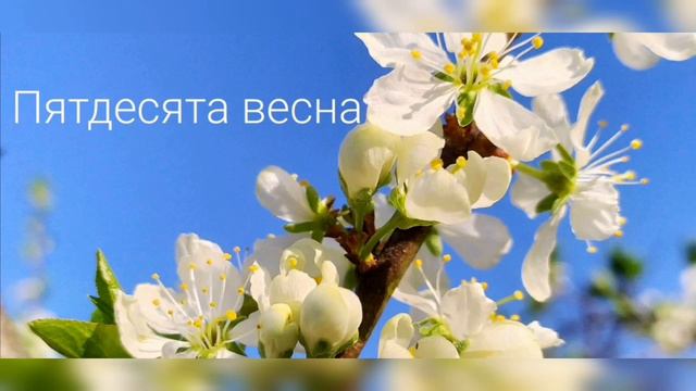 Пятдесята весна. Вальс смотреть онлайн