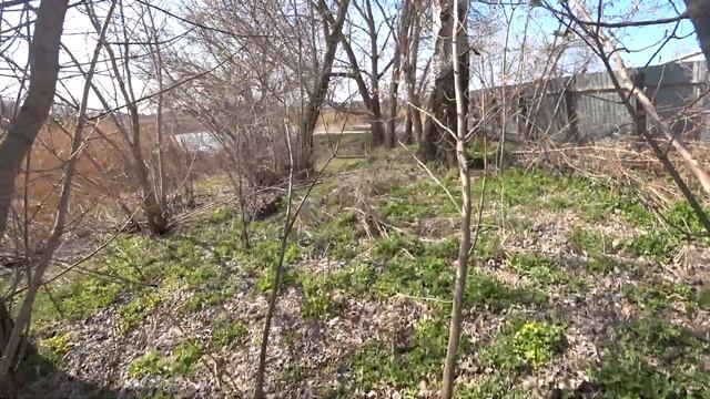 Баня река и пожарная безопасность. смотреть онлайн