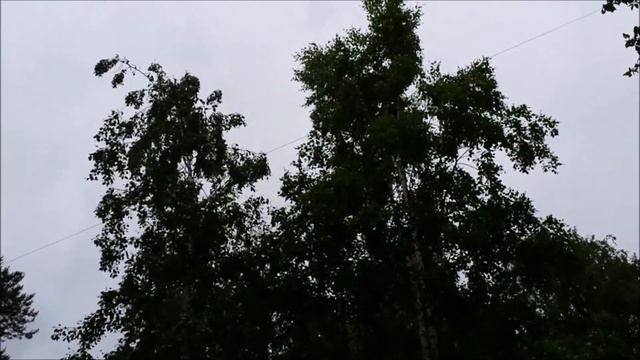 Белоснежный танец. смотреть онлайн