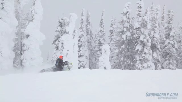 2014 Ski-Doo Freeride 800 смотреть онлайн