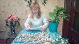 Исландский мох и его лечебные свойства.