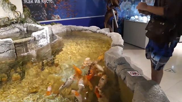 Светлогорск. Музей "Люди Моря" Музея Мирового океана смотреть онлайн